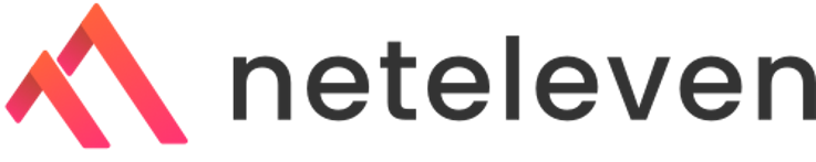 Logo of Neteleven featuring a stylized mountain graphic in gradient colors, accompanied by the brand name in bold, modern font.